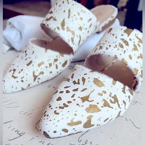 Matisse | Berlin | Gold Spot Slides | (8) NIB